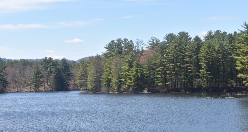 Halfway Brook Trail On The Way!