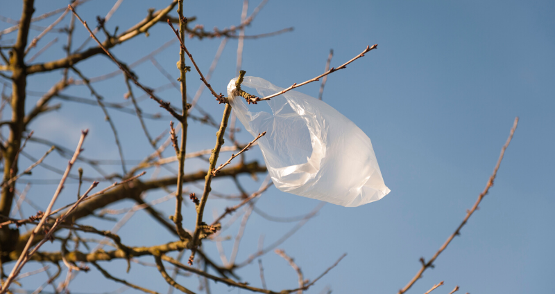 The NYS Bag Waste Reduction Law FAQ