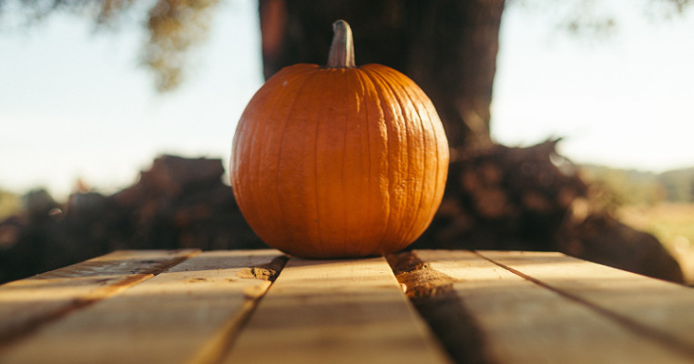 Autumn Challenge: Picking a Perfect Pumpkin!