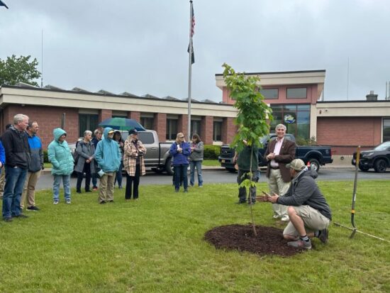 arbor day 2025