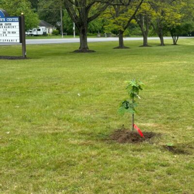arbor day 2025