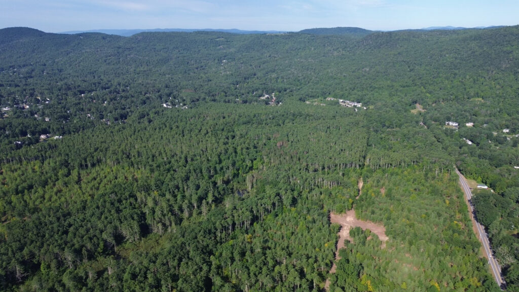 Potter Woods